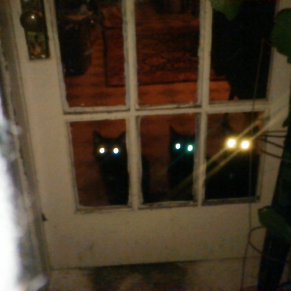 Meet your Posher, Qetsiyah - Picture 6 of 8